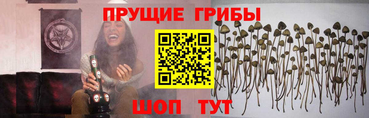 Псилоцибиновые грибы ЛСД Кушва