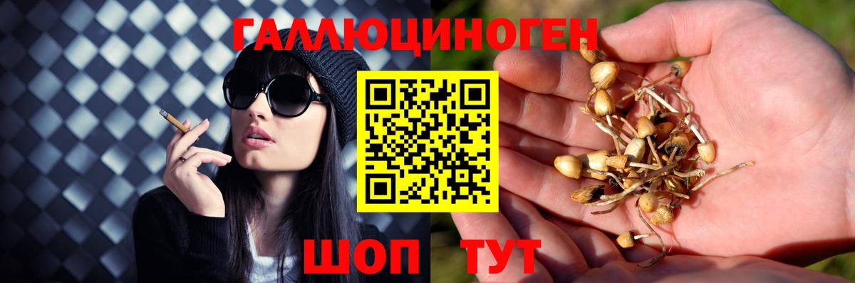 Псилоцибиновые грибы мухоморы  Вход с VPN  Галлюциногенные грибы мицелий  Кушва 
