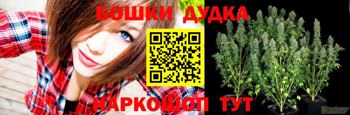 Бошки марихуана семена  Вход с VPN  Шишки марихуана план  Кушва 